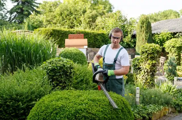 landscaping services Kapolei